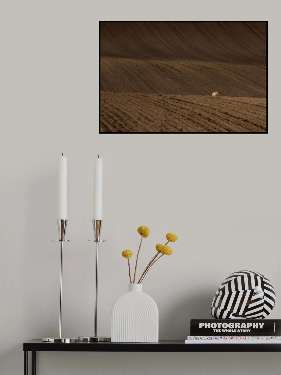 Alone wandering Poster och Canvastavla