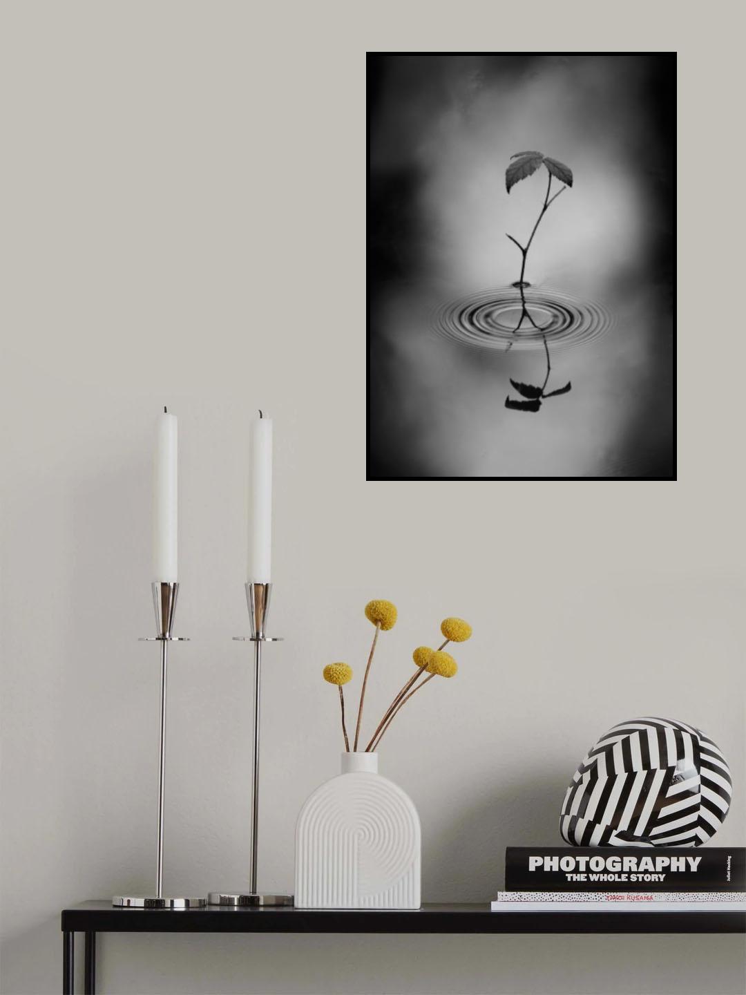 Delicate Poster och Canvastavla