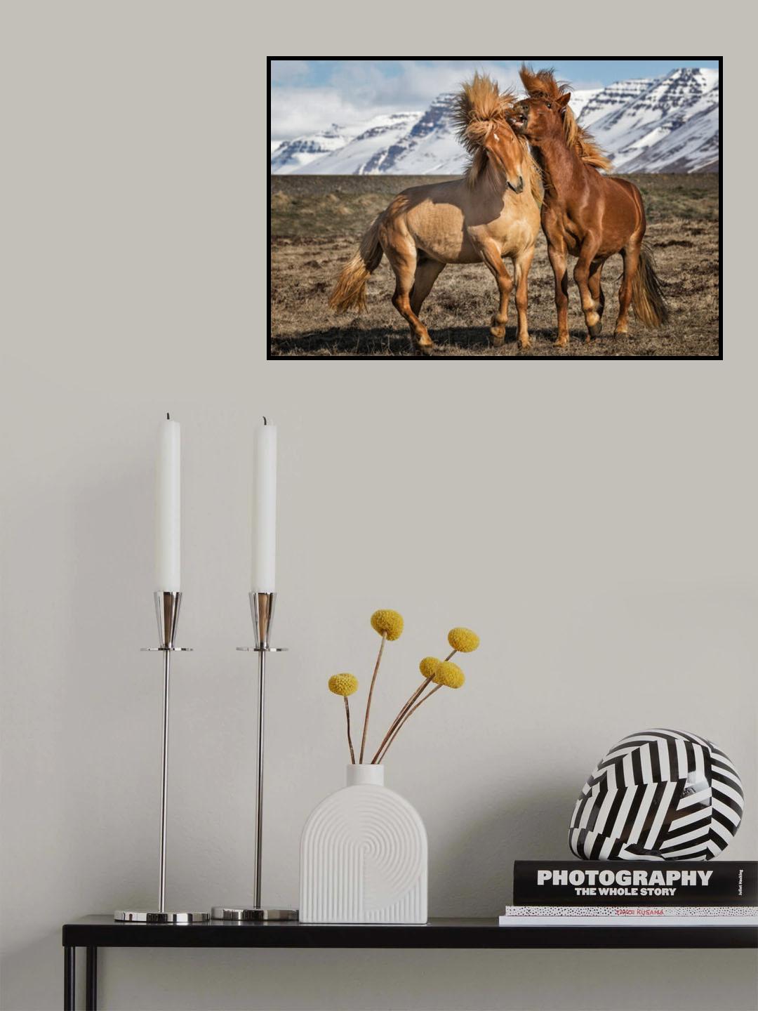 Moment Poster och Canvastavla