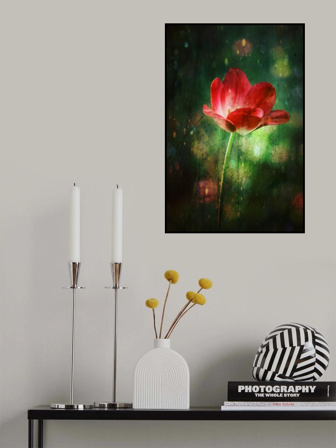 The Red Tulip Poster och Canvastavla