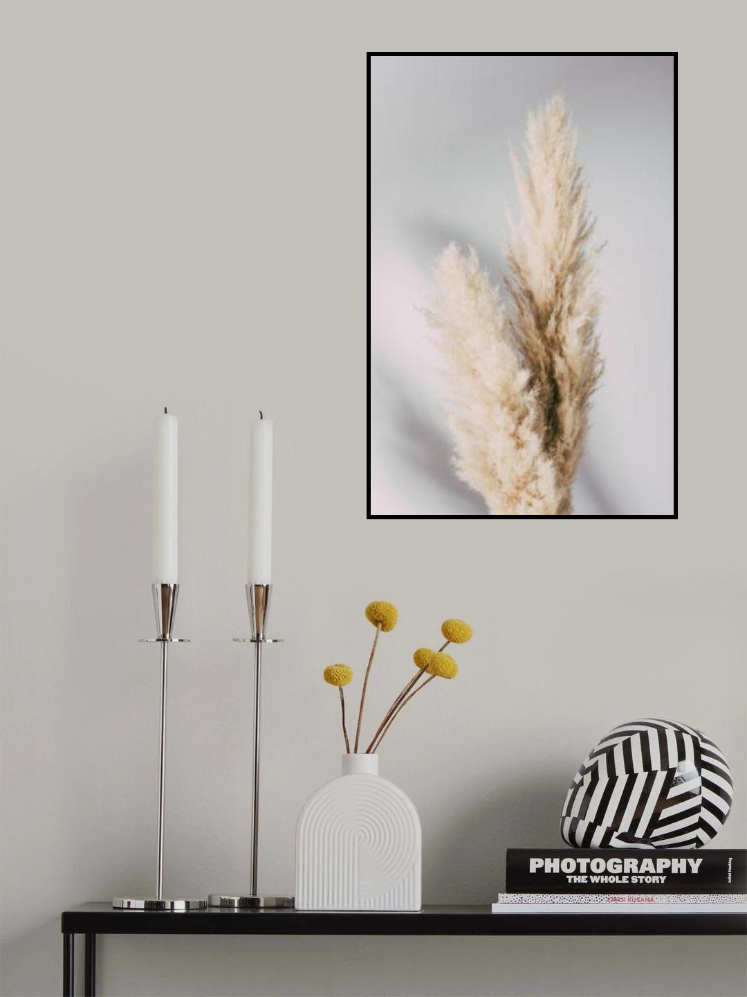 Pampas Grass Grey Poster och Canvastavla