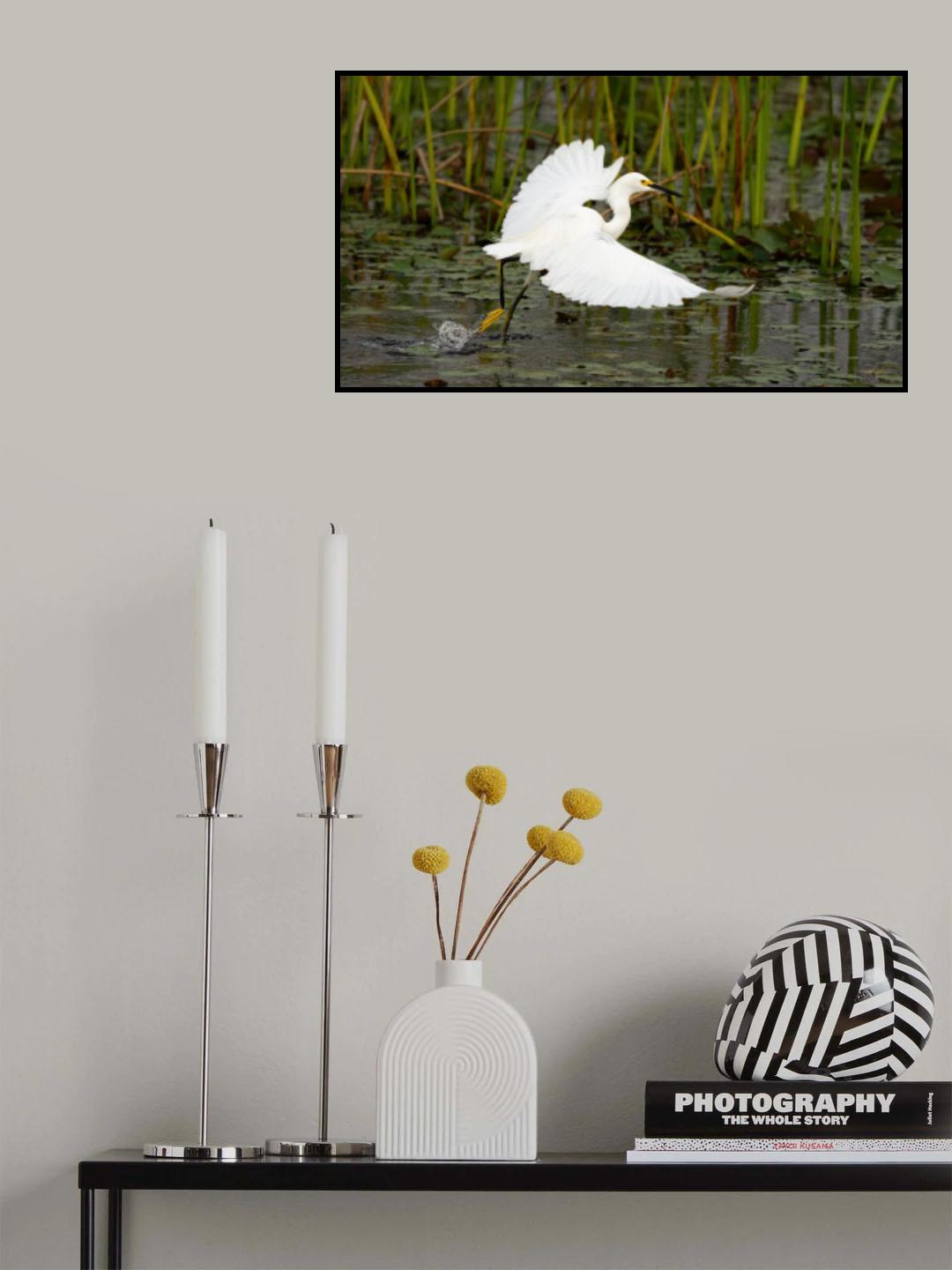 Seeker Poster och Canvastavla