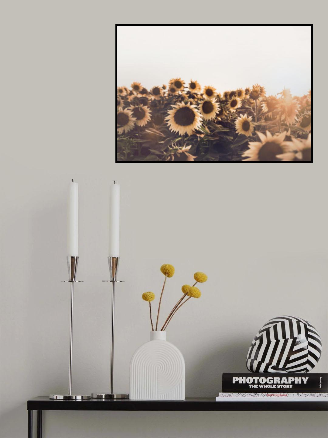 Sunflowers Poster och Canvastavla