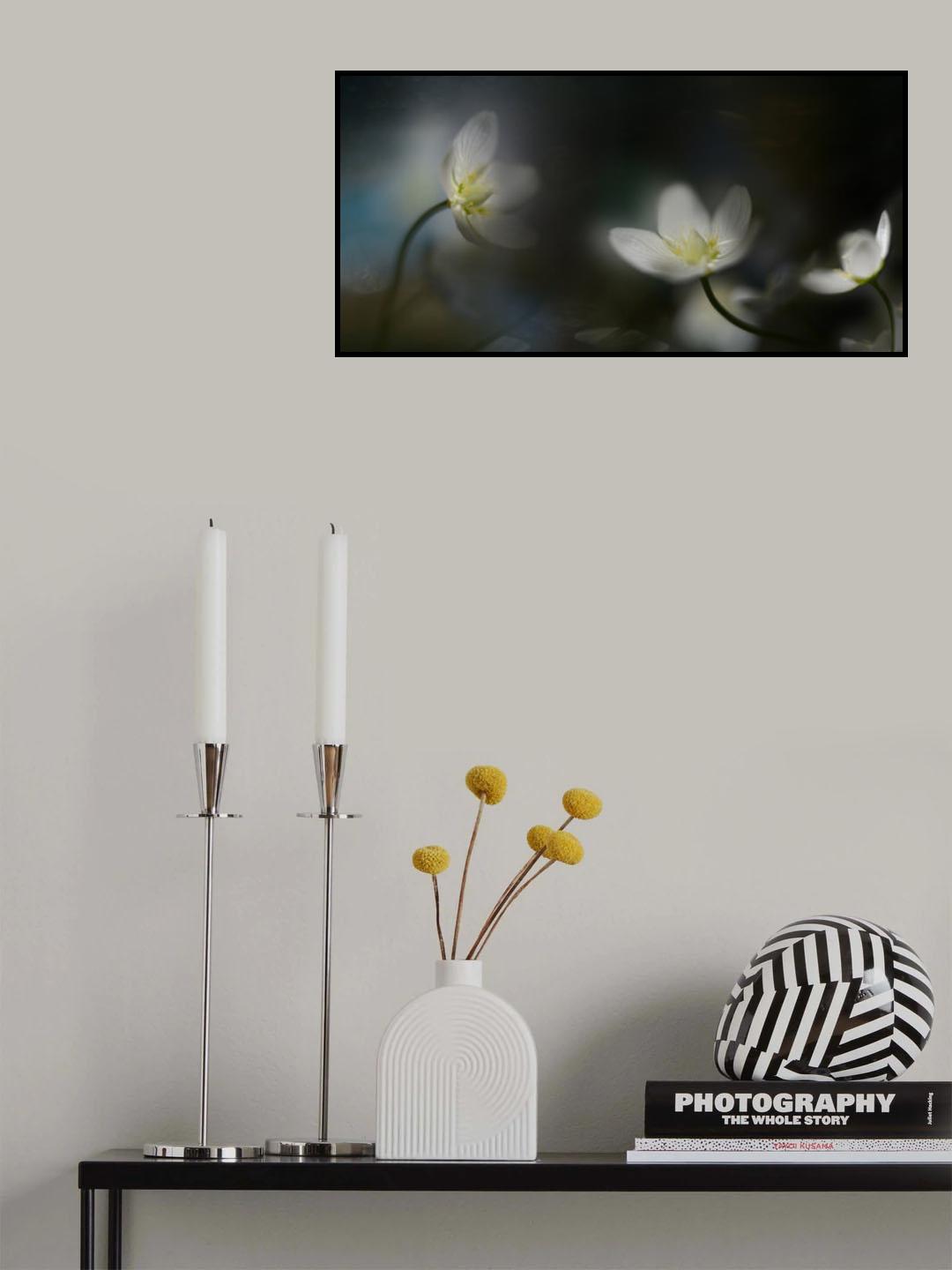 Light in the darkness Poster och Canvastavla