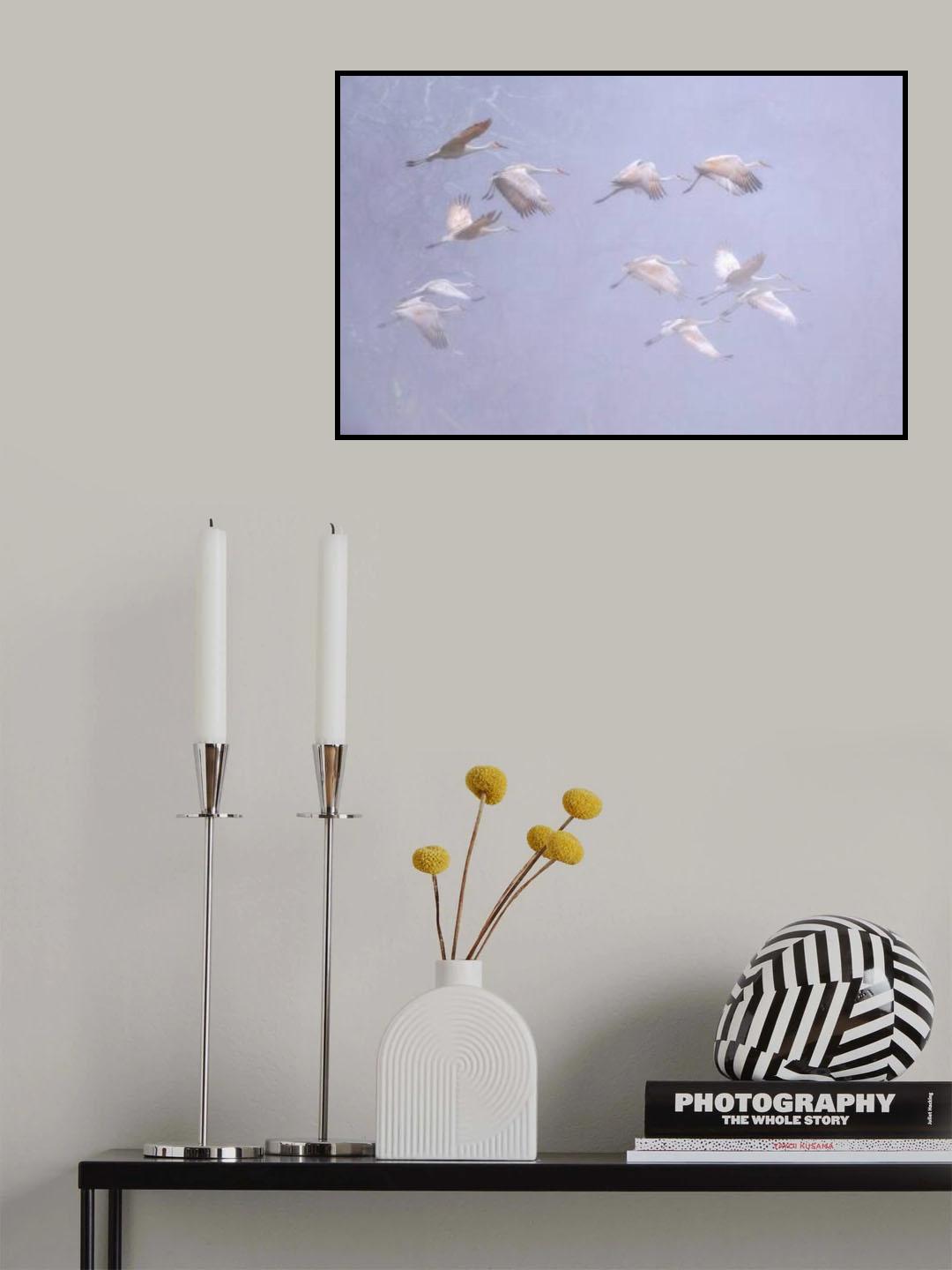 Sandhill crane in foggy morning Poster och Canvastavla