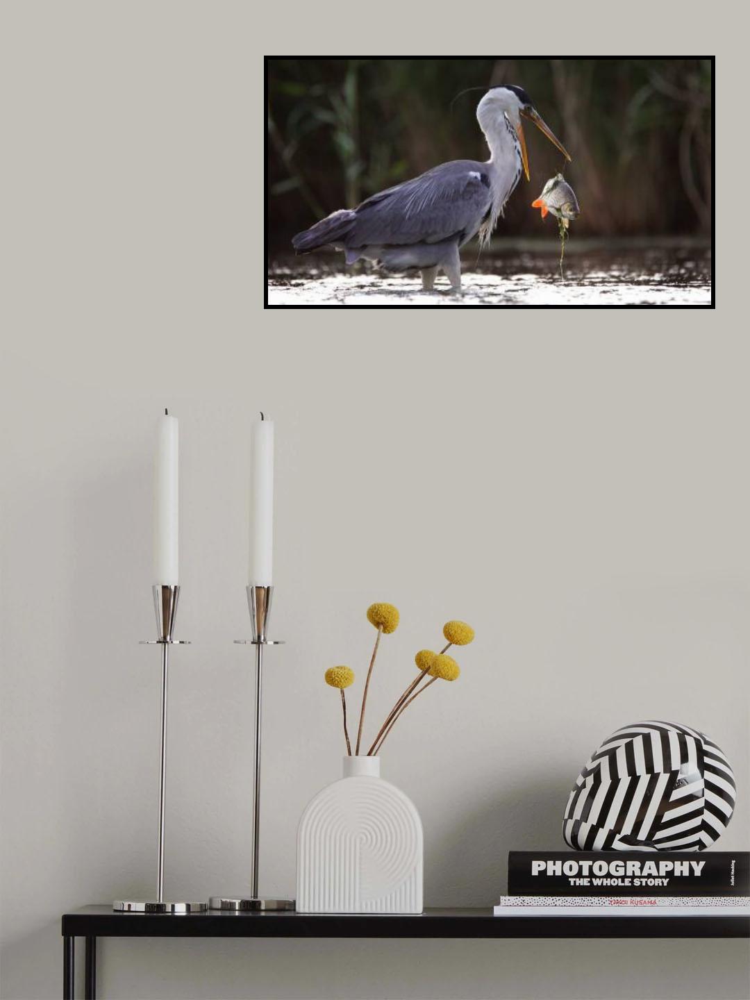 Oops ! Poster och Canvastavla