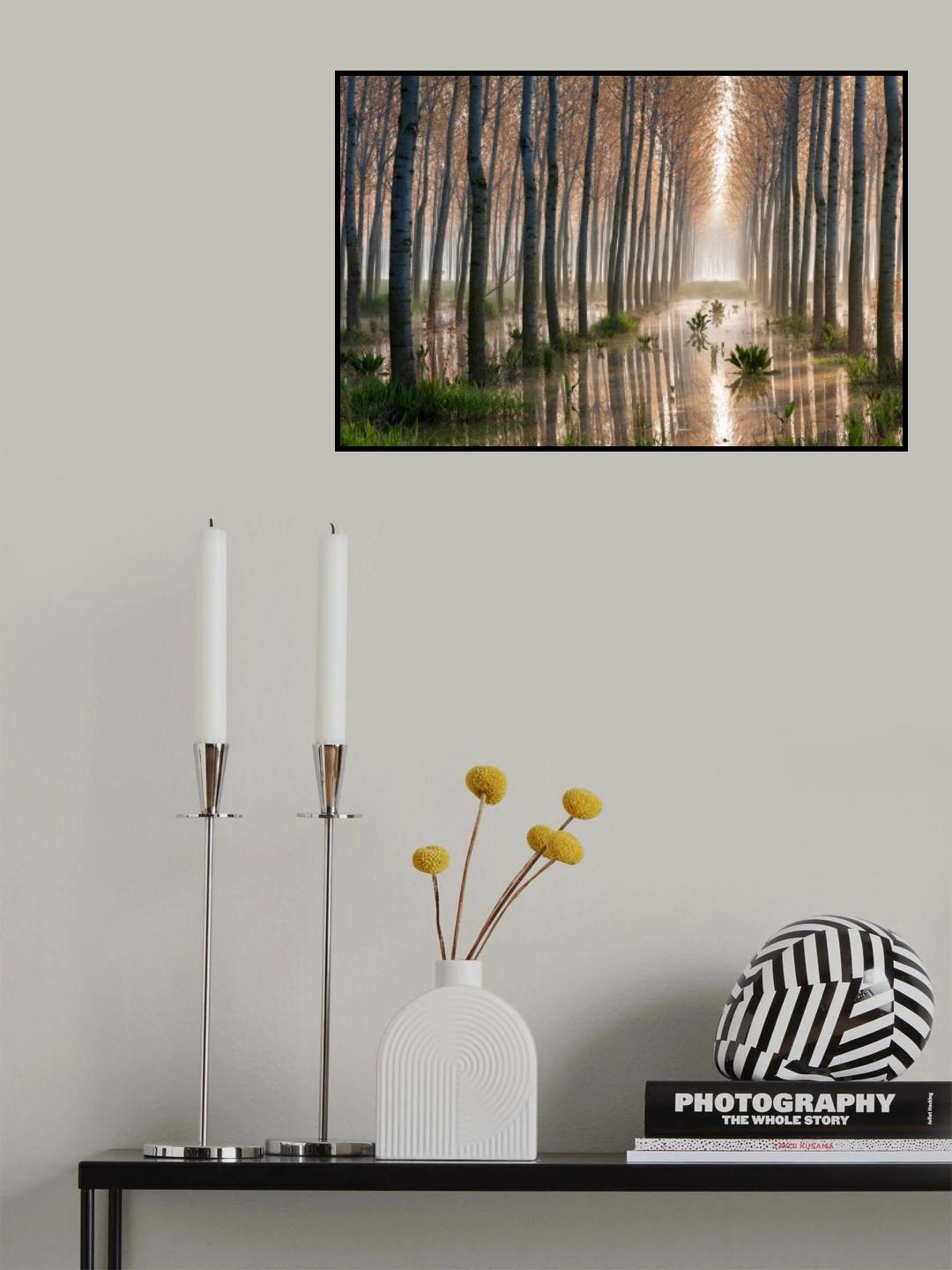 Rains of Spring Poster och Canvastavla