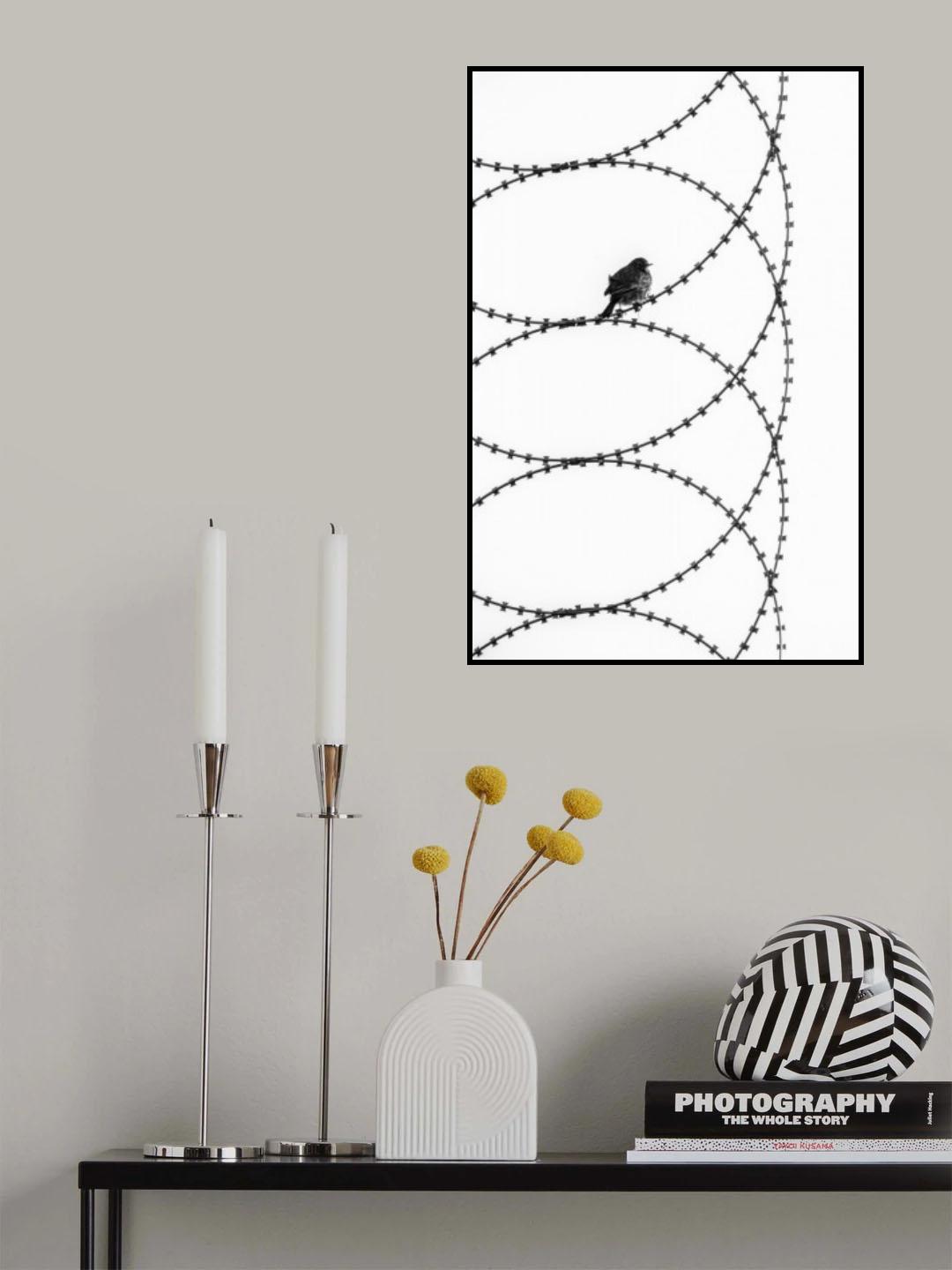 transformation Poster och Canvastavla