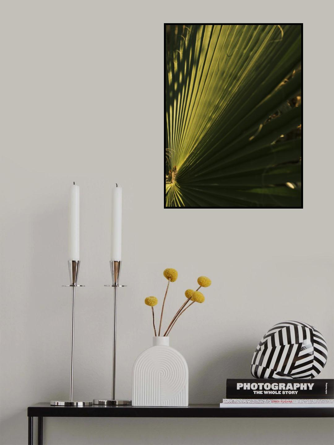 palm leaf Poster och Canvastavla