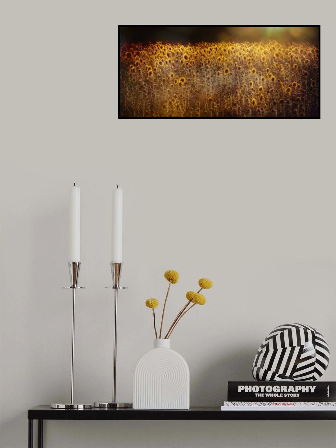 Fields of gold Poster och Canvastavla