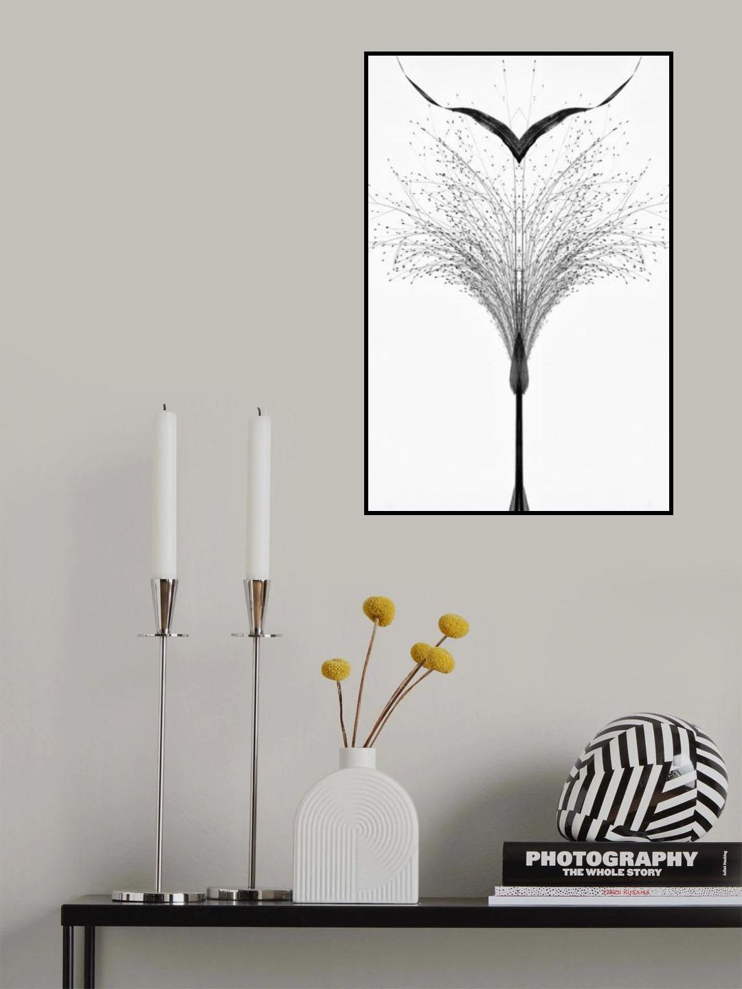 Black grass . Poster och Canvastavla