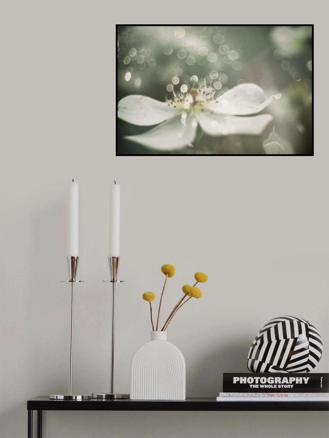 Air Poster och Canvastavla