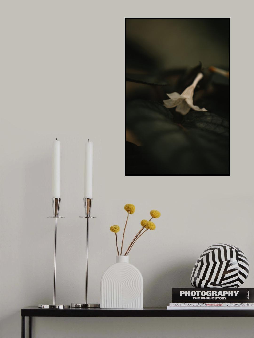 Botanical Series - White Blossom Poster och Canvastavla