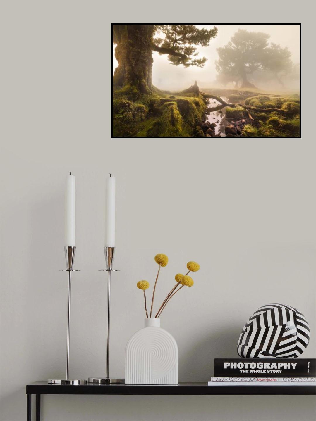 Fanal Forest Poster och Canvastavla