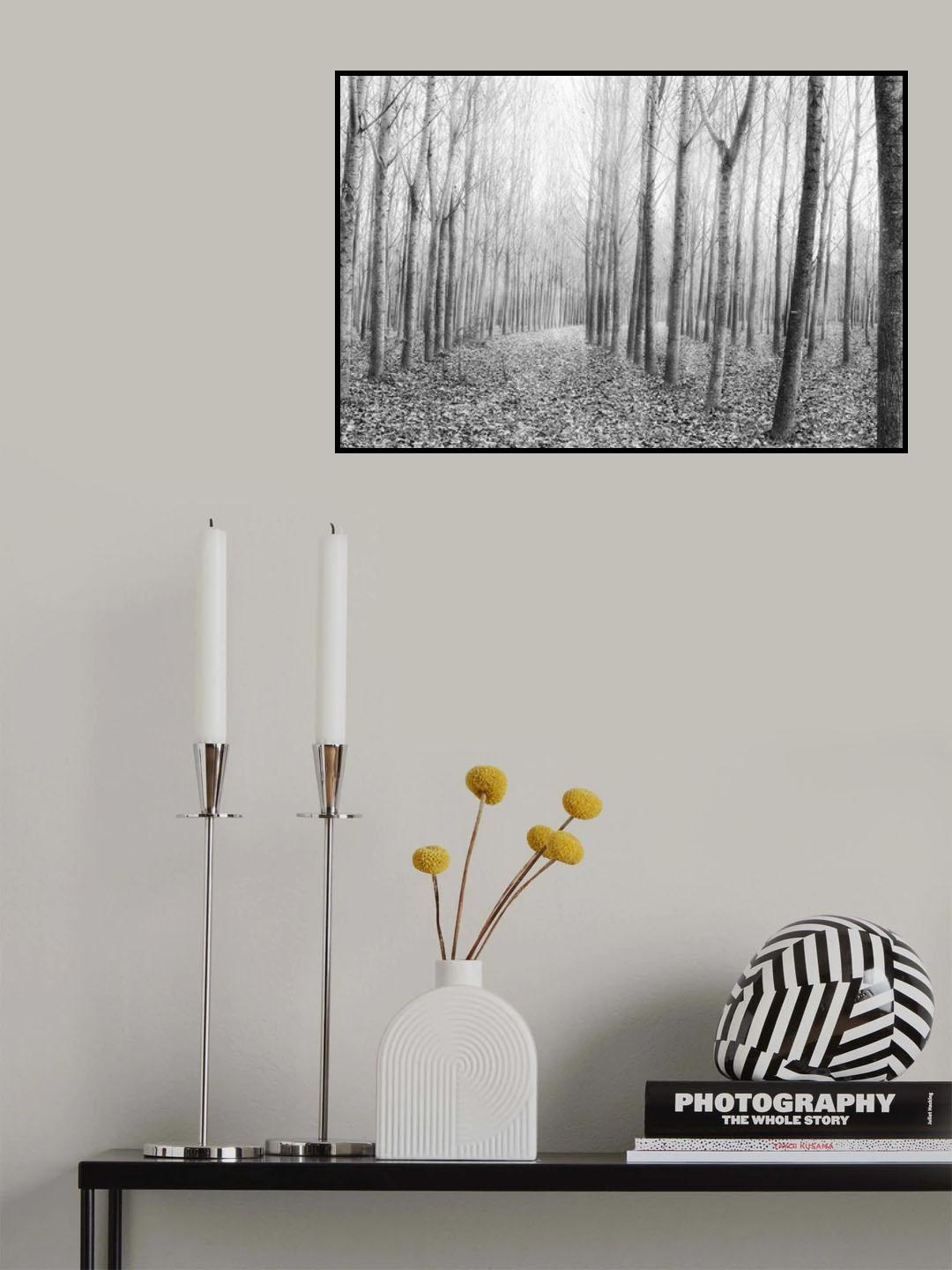 The Shape of Trees 03 Poster och Canvastavla