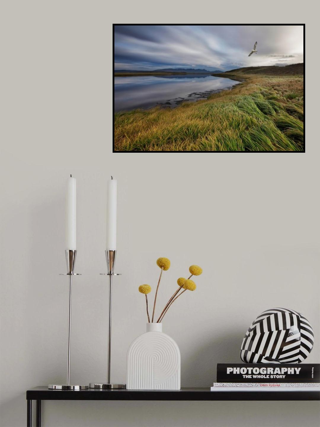 Stillness Poster och Canvastavla