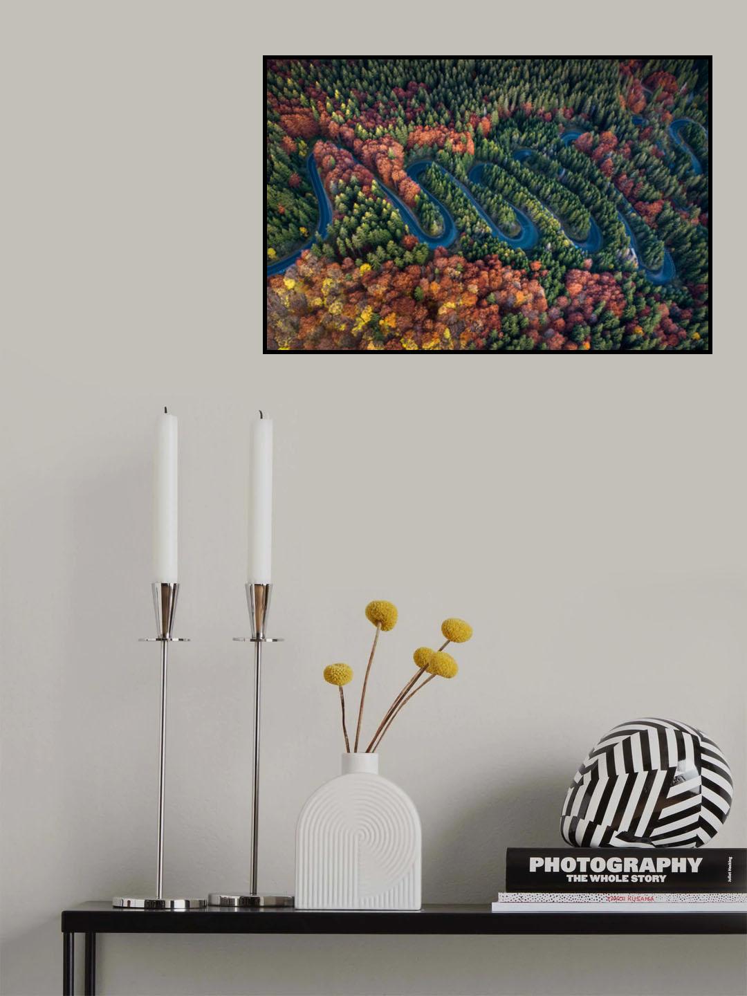 Behind the curves Poster och Canvastavla
