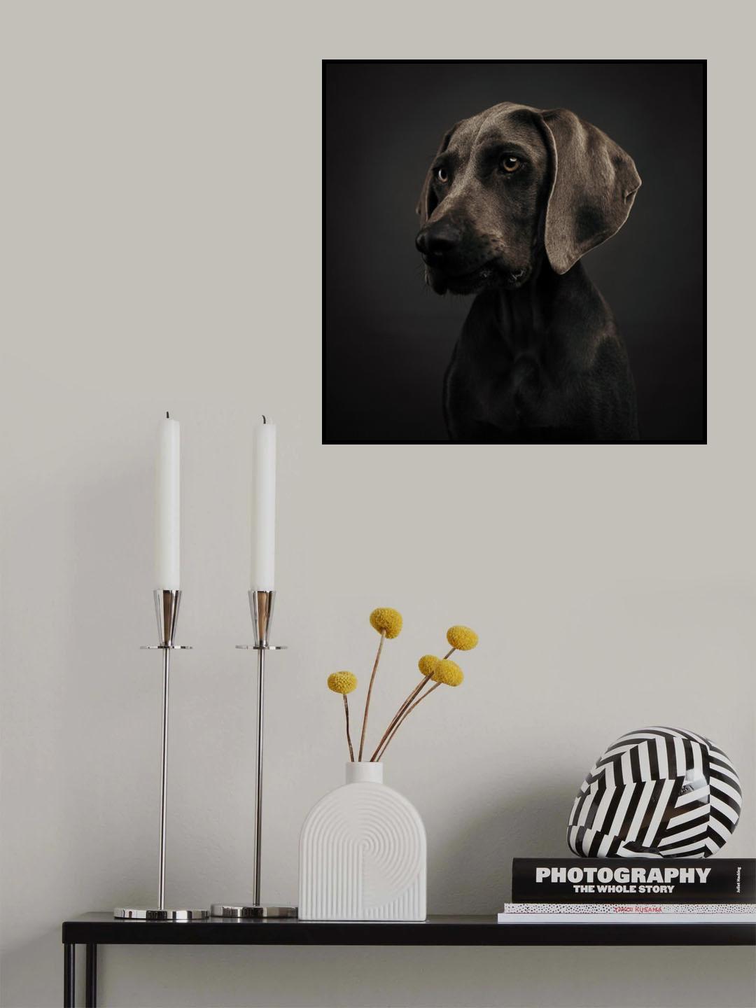 Nelly Poster och Canvastavla