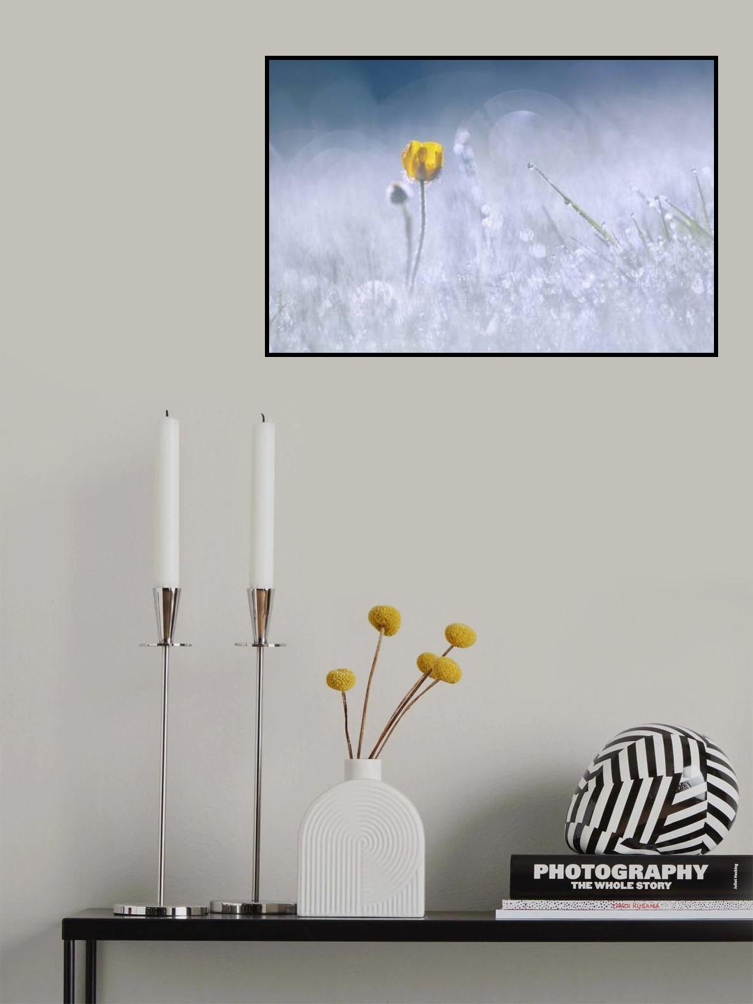 Daydream Poster och Canvastavla