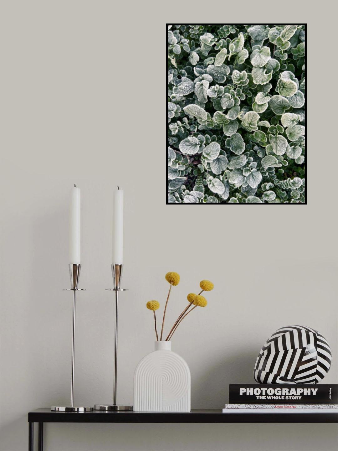 Frosted Poster och Canvastavla