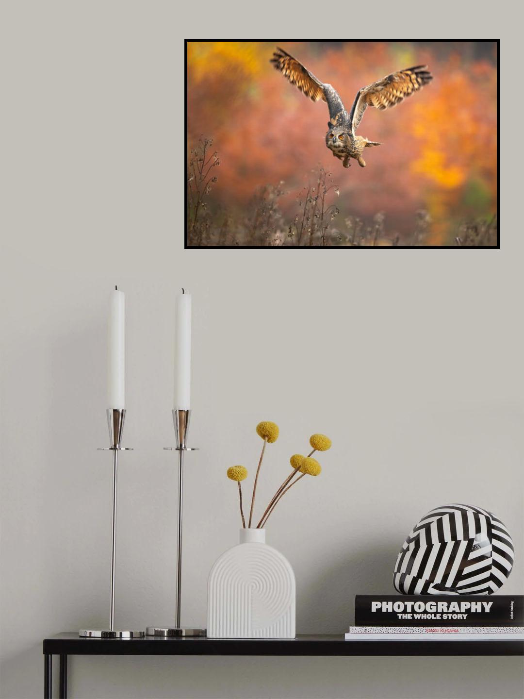 Eurasian eagle-owl Poster och Canvastavla