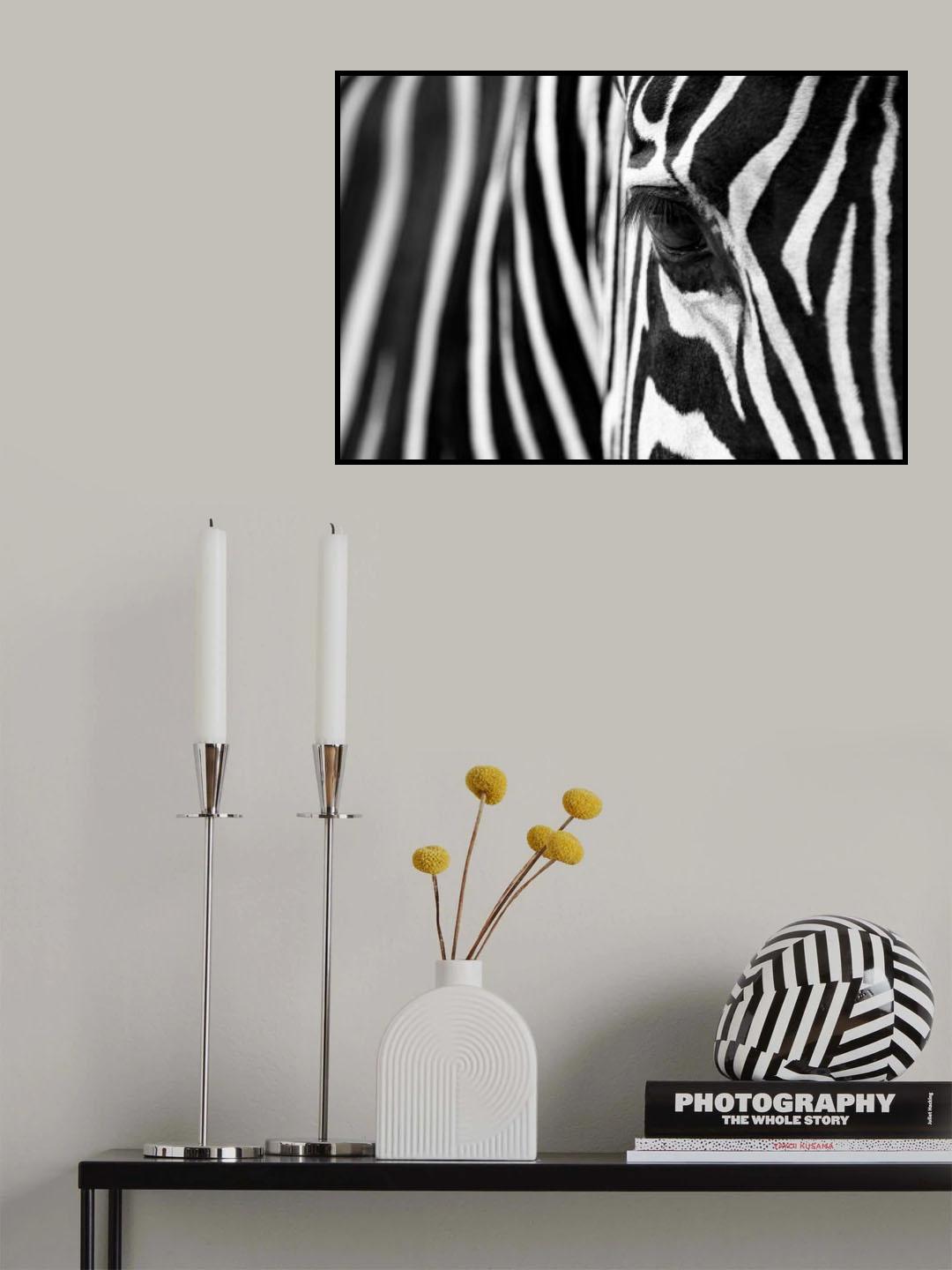Zebra Maze Poster och Canvastavla