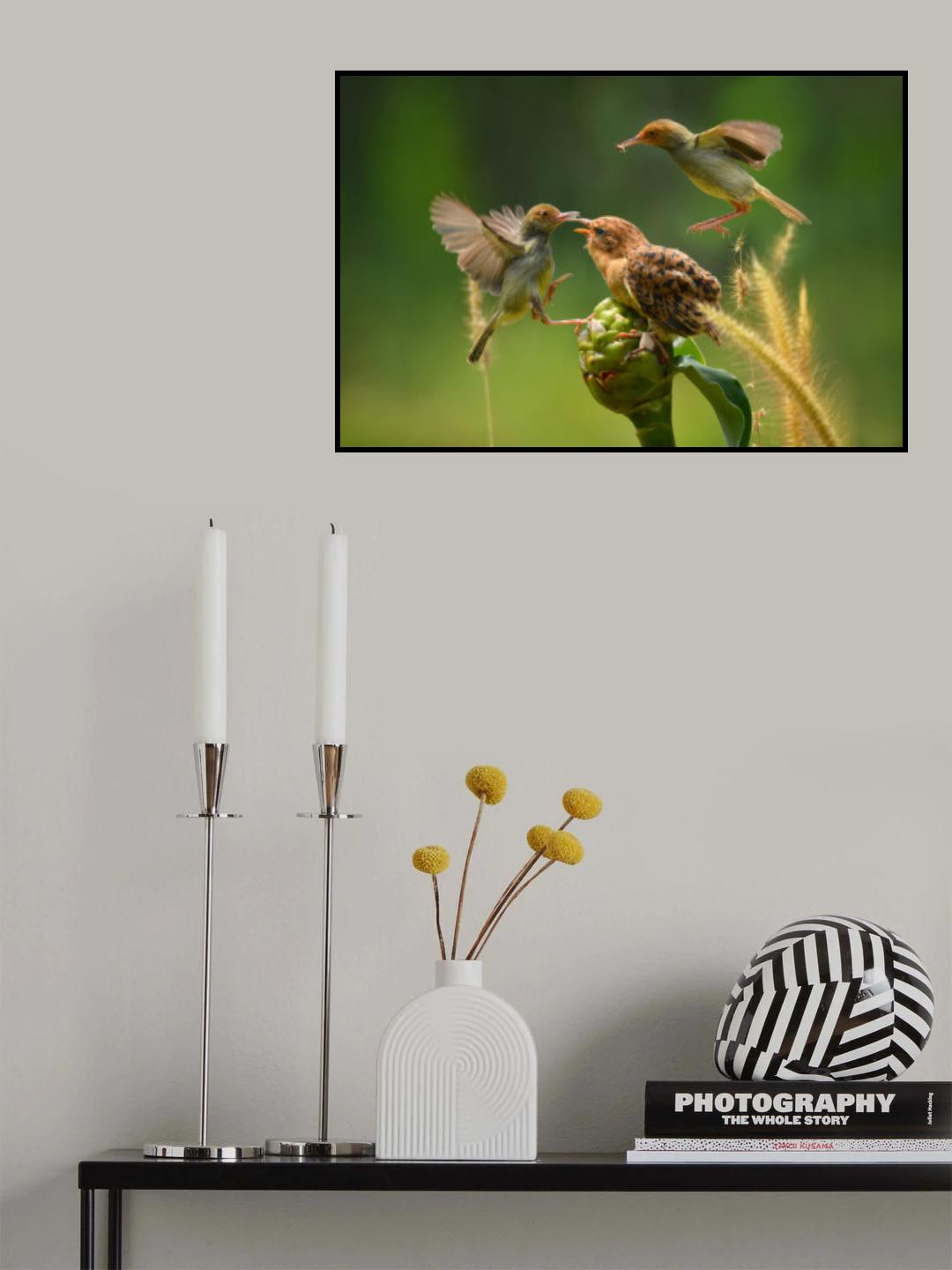 feeding Poster och Canvastavla