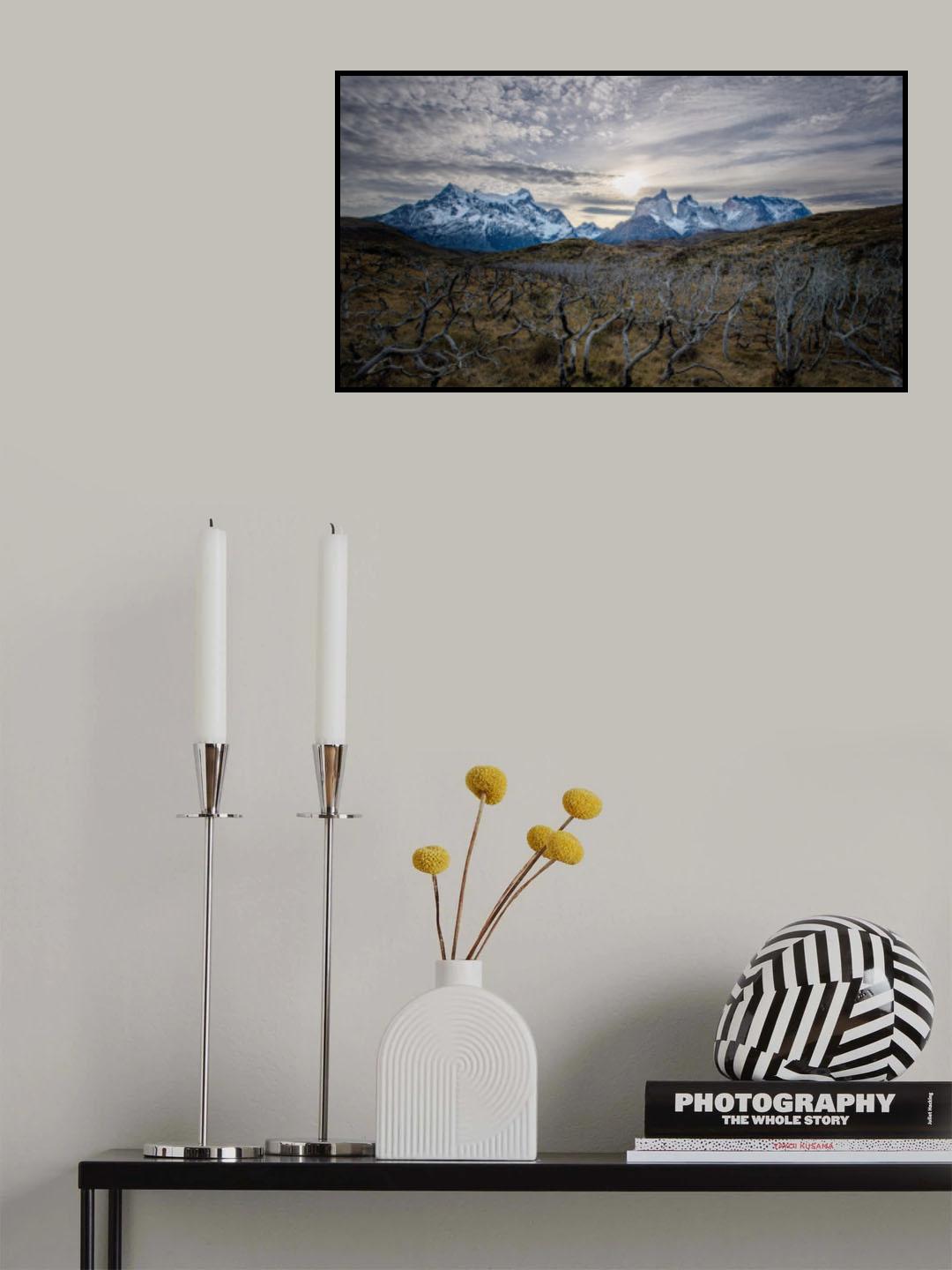 The trees Poster och Canvastavla