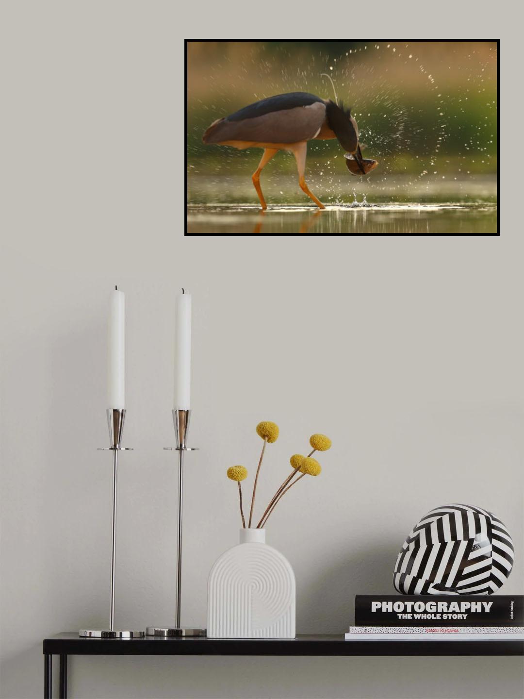 Brave Night Heron Poster och Canvastavla