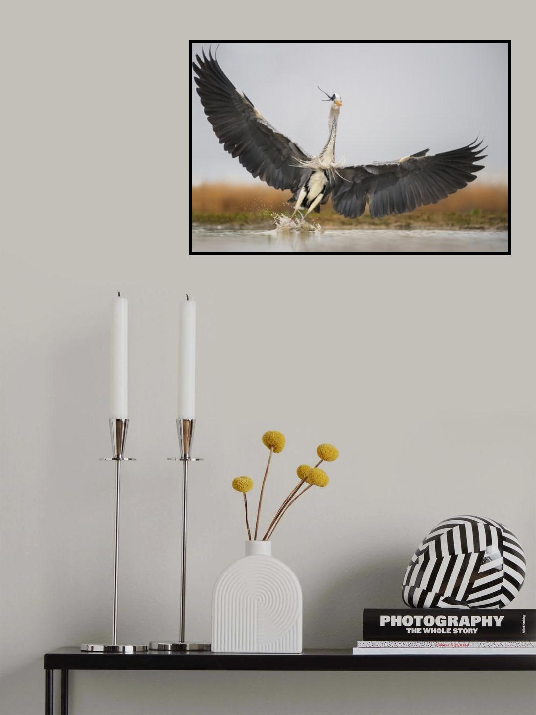 Flying Poster och Canvastavla