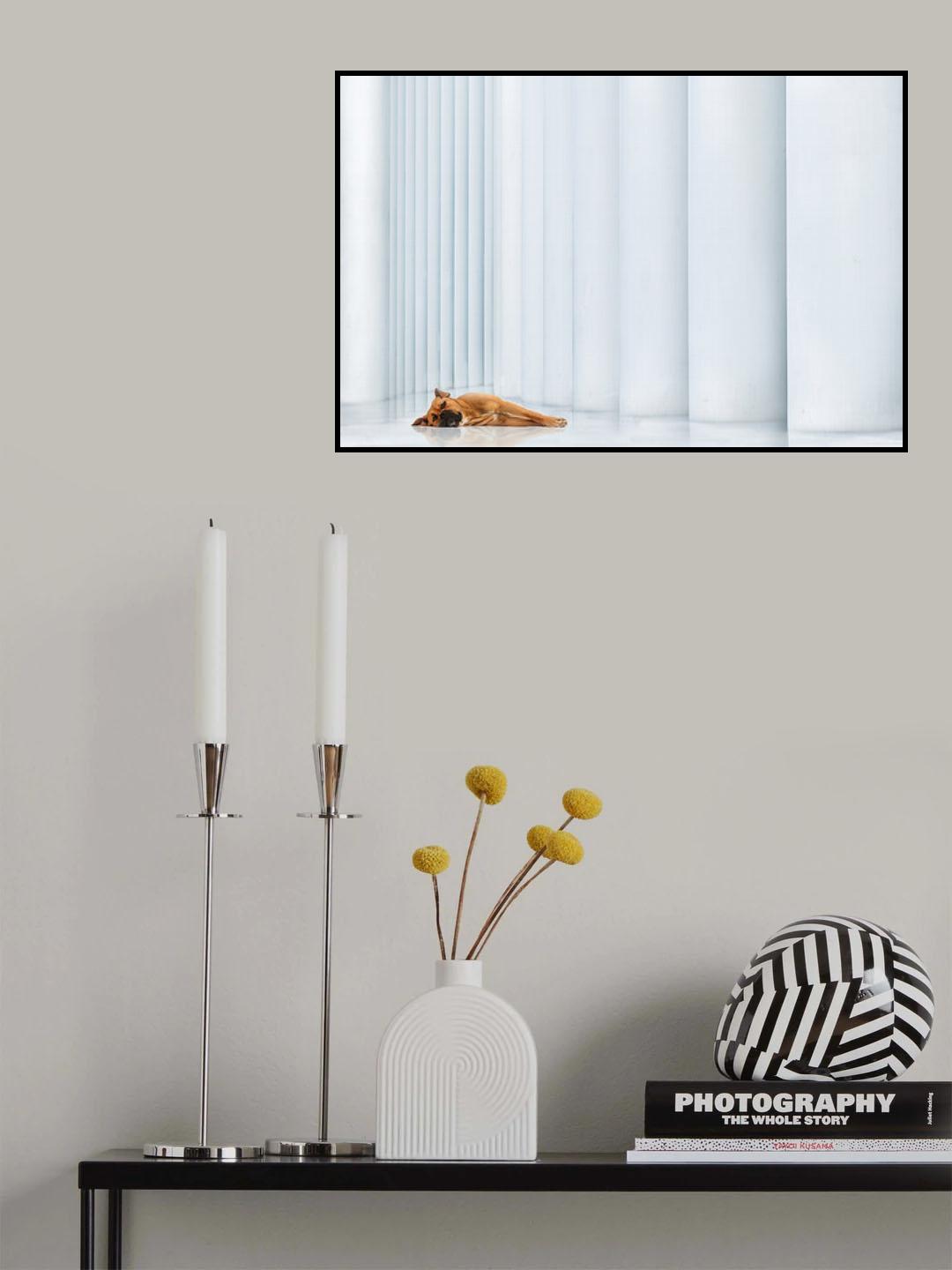 Down Poster och Canvastavla