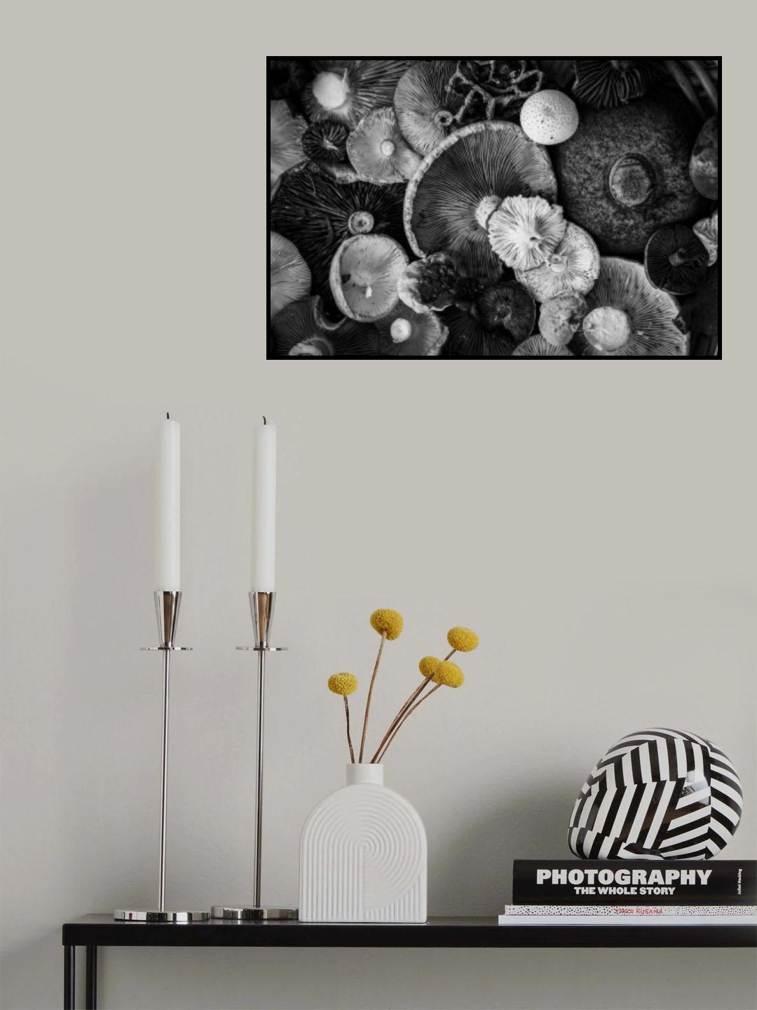natural patterns Poster och Canvastavla
