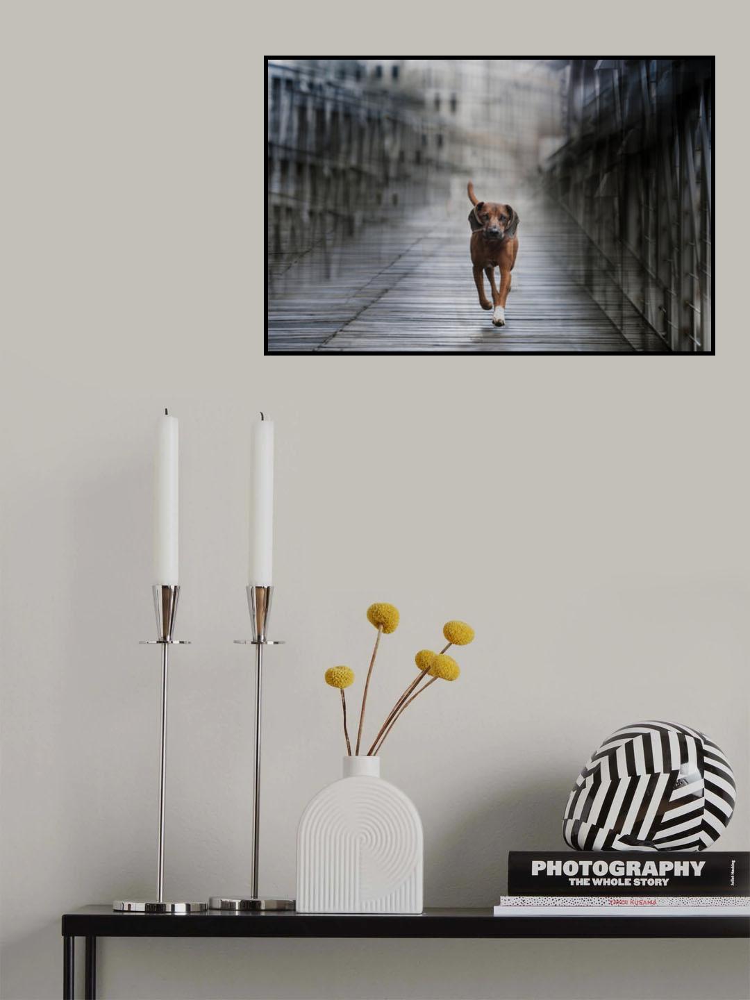 Tidy Untidiness Poster och Canvastavla