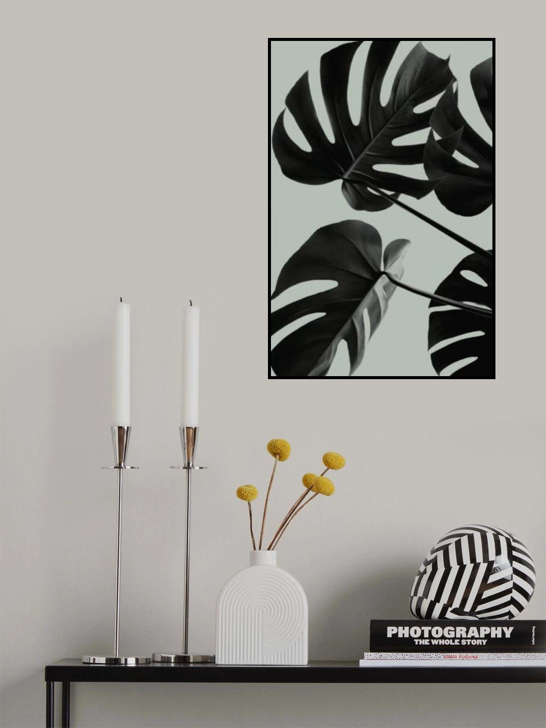 Monstera Teal 08 Poster och Canvastavla