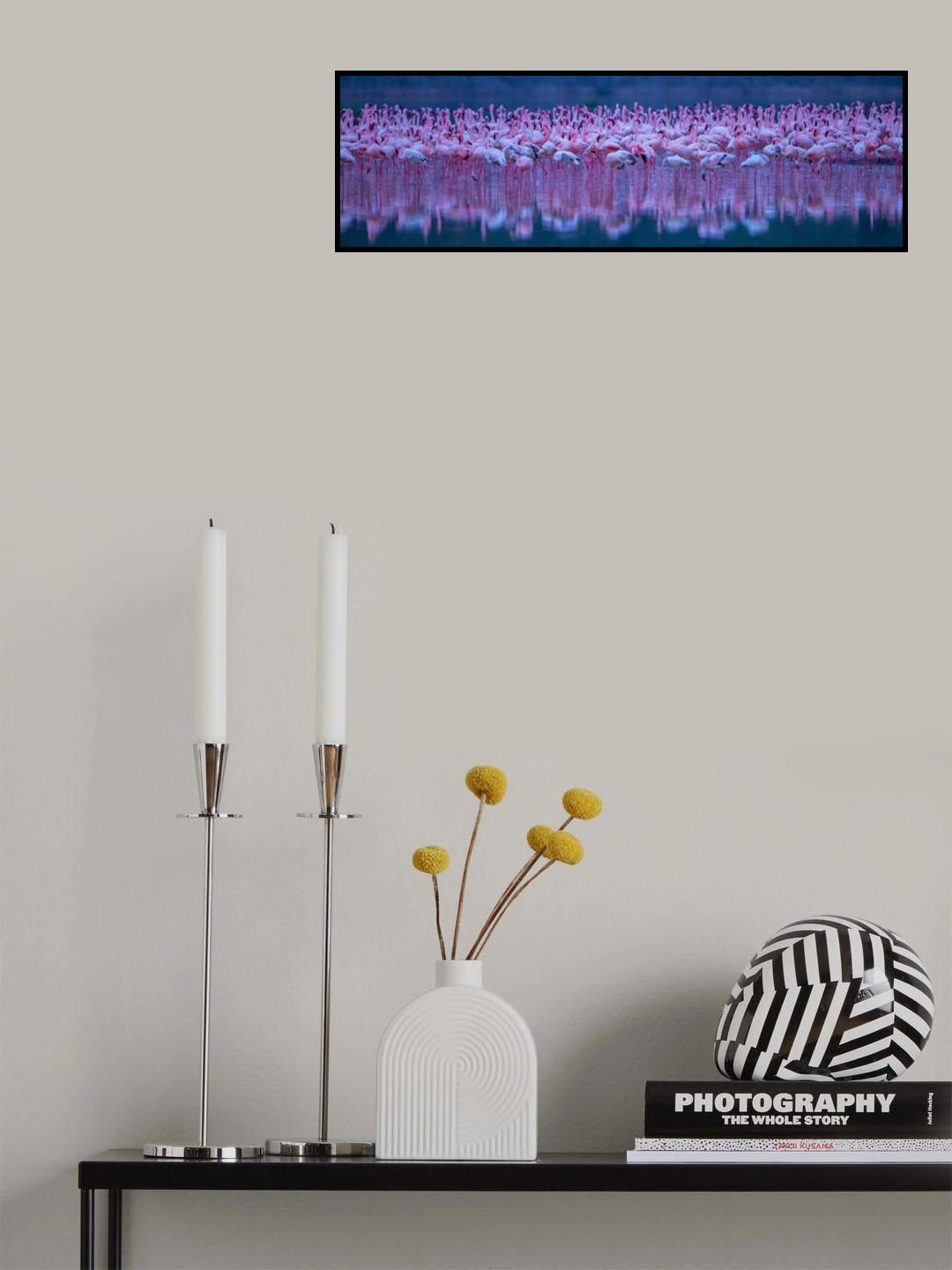 Flamingos Poster och Canvastavla