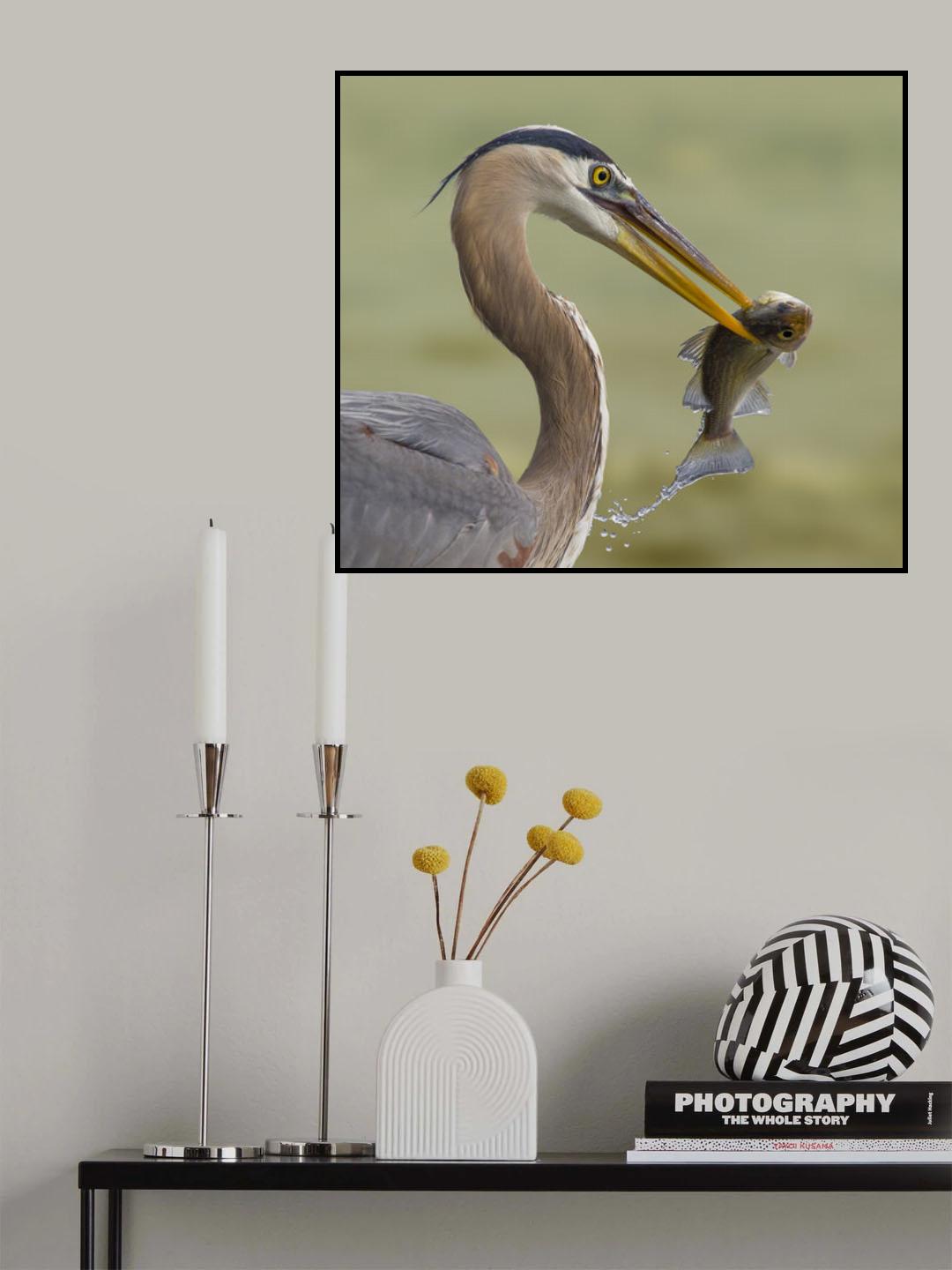 Poster och Canvastavla
