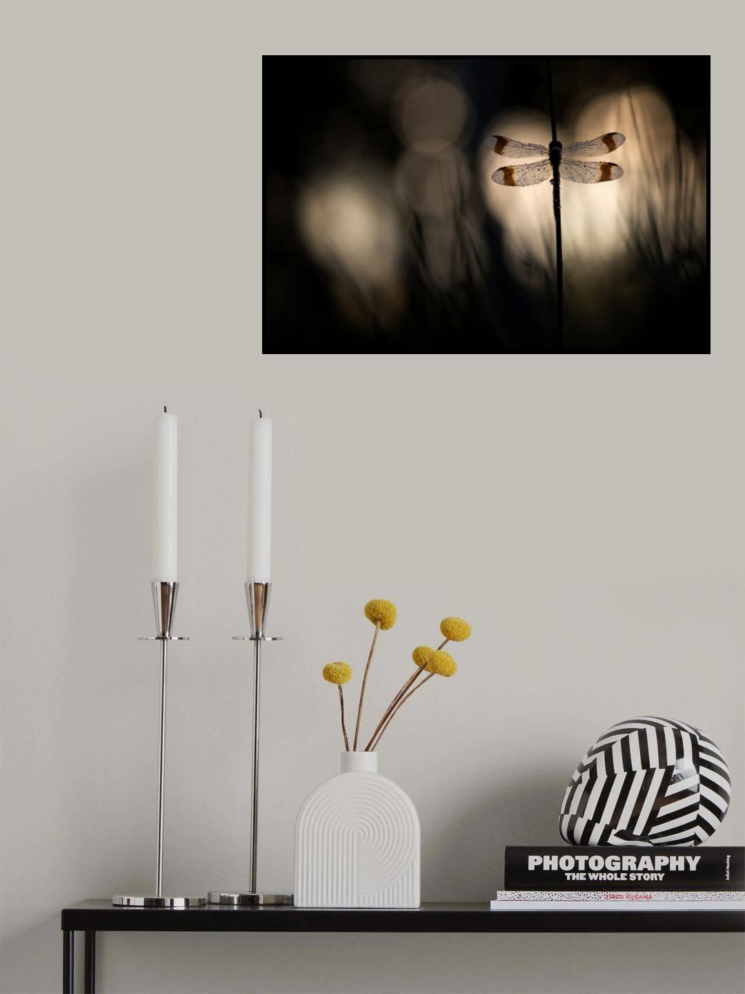 Playing with light Poster och Canvastavla
