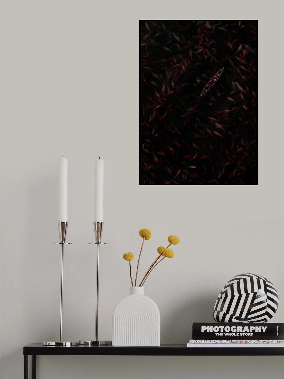 Crowded Koi Poster och Canvastavla