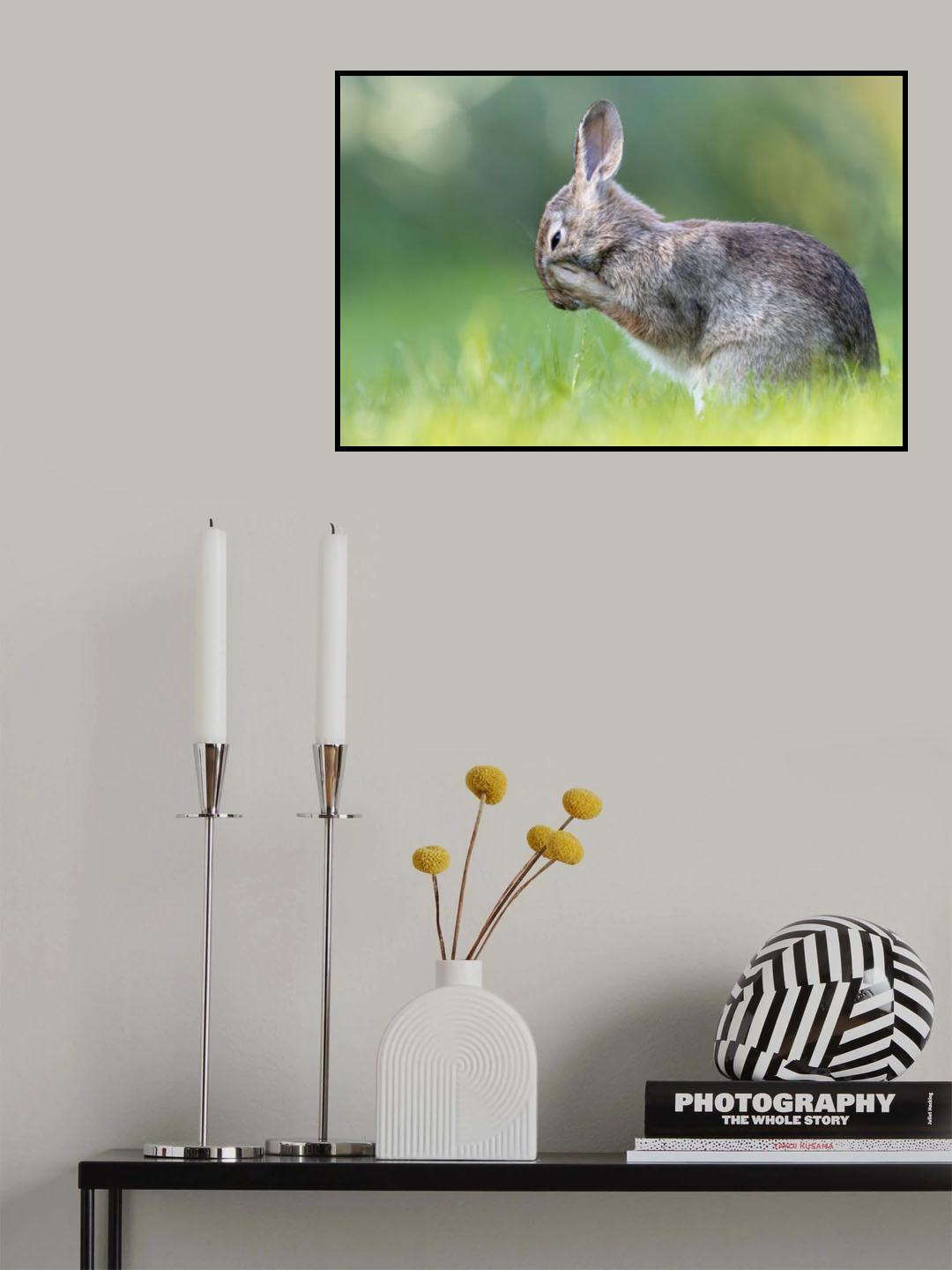 Little Hare Poster och Canvastavla