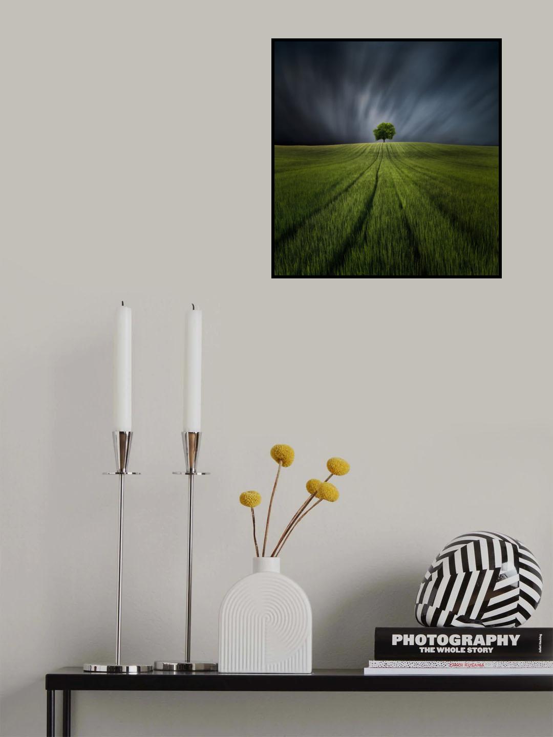 LOCURAS DE PRIMAVERA Poster och Canvastavla