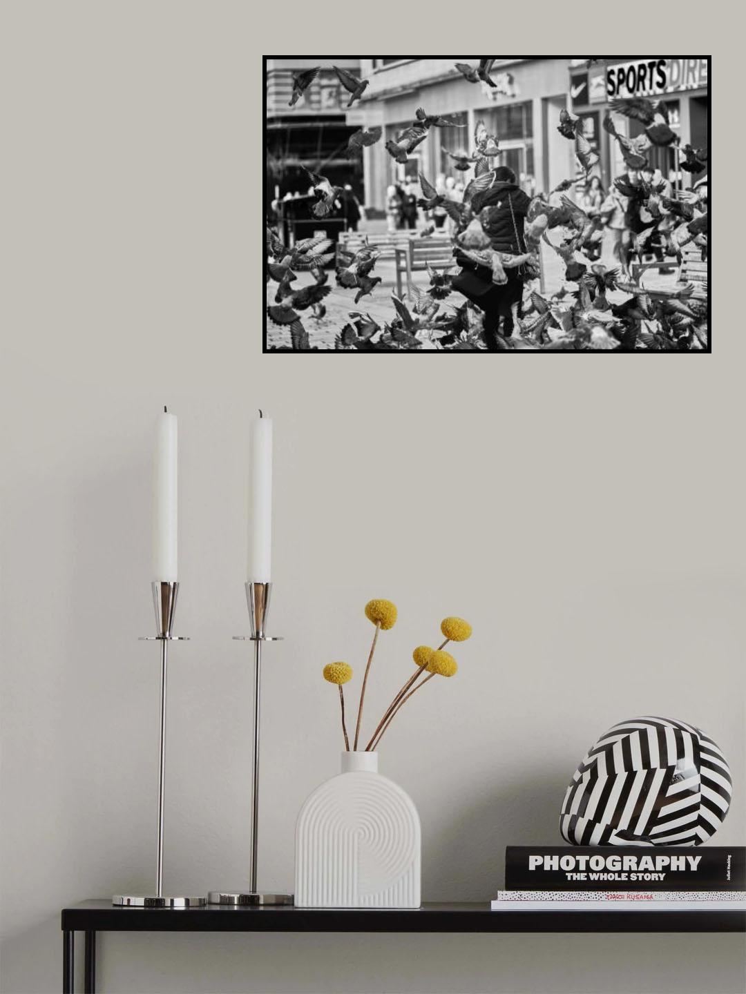 Feeding the pigeons Poster och Canvastavla