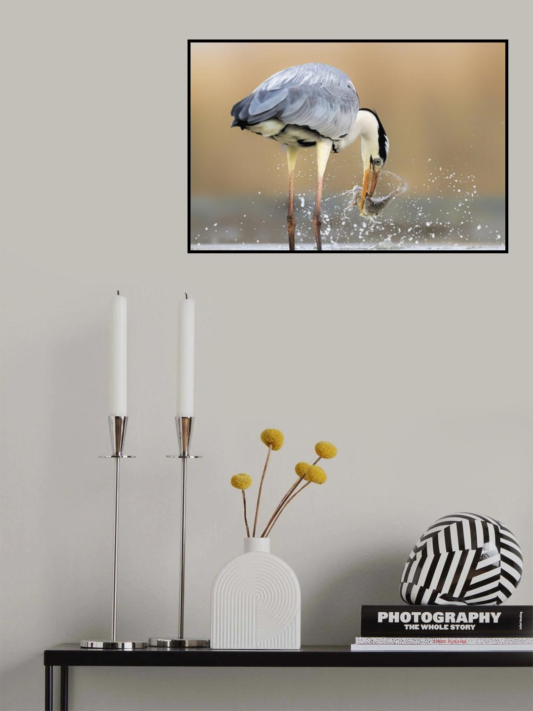 Morning Catch Poster och Canvastavla