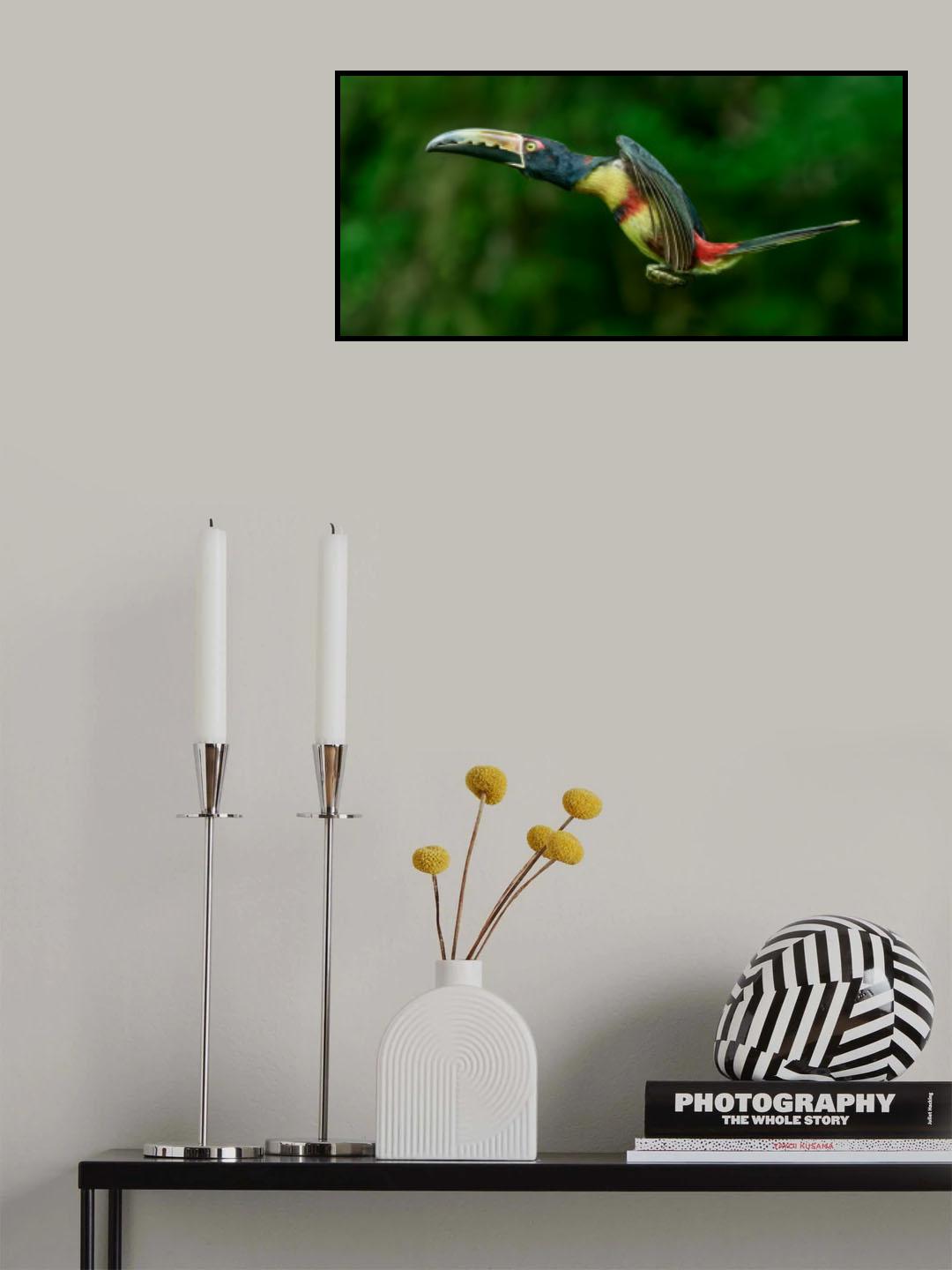 Concord Poster och Canvastavla