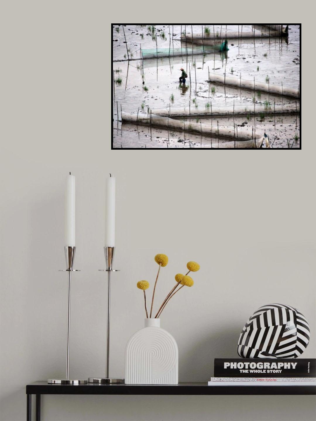 Wading Poster och Canvastavla