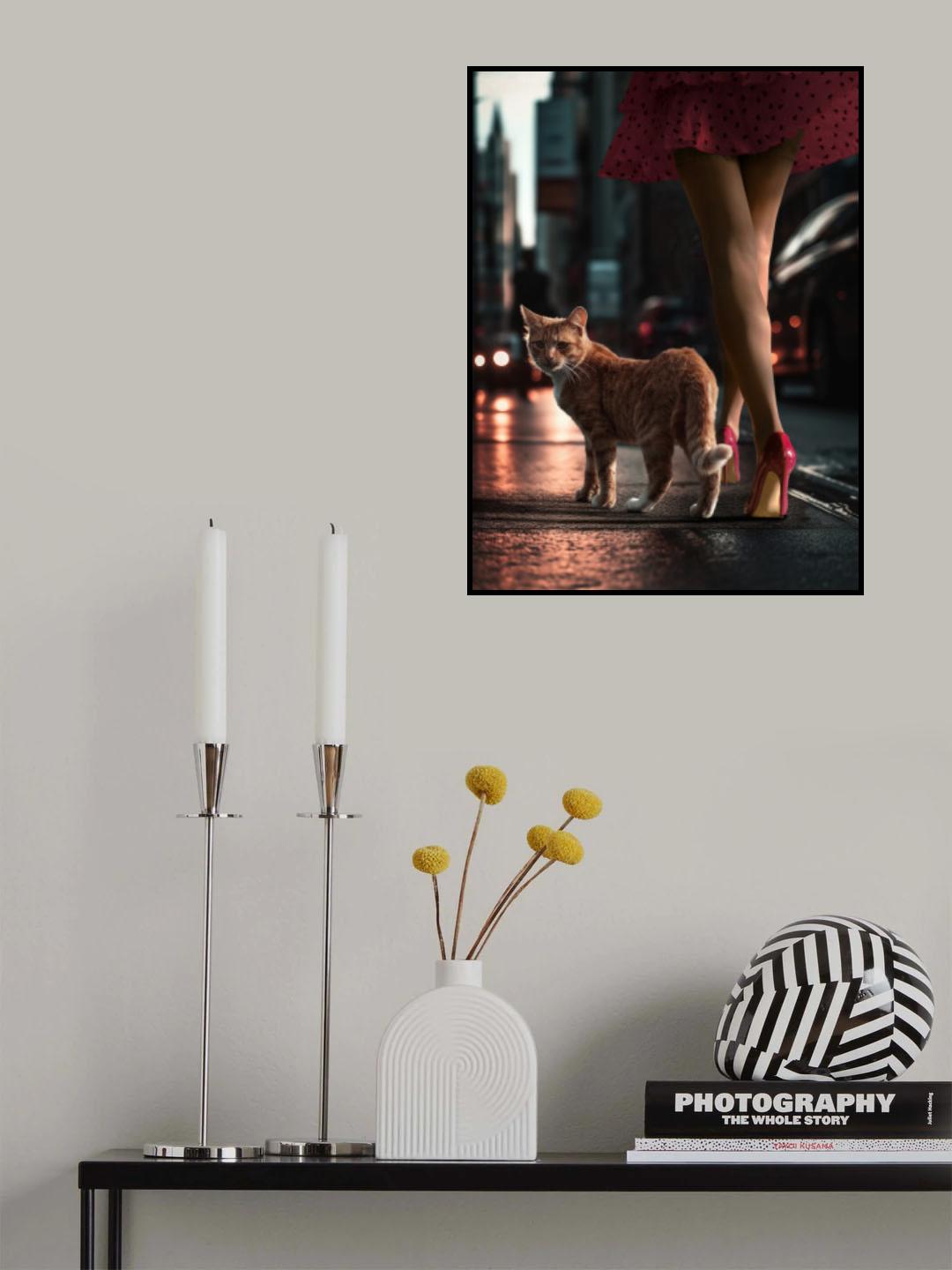StreetCat Poster och Canvastavla