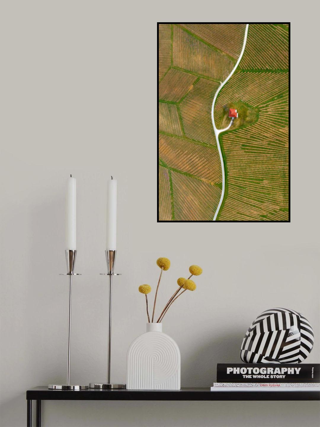 Vinyards Poster och Canvastavla