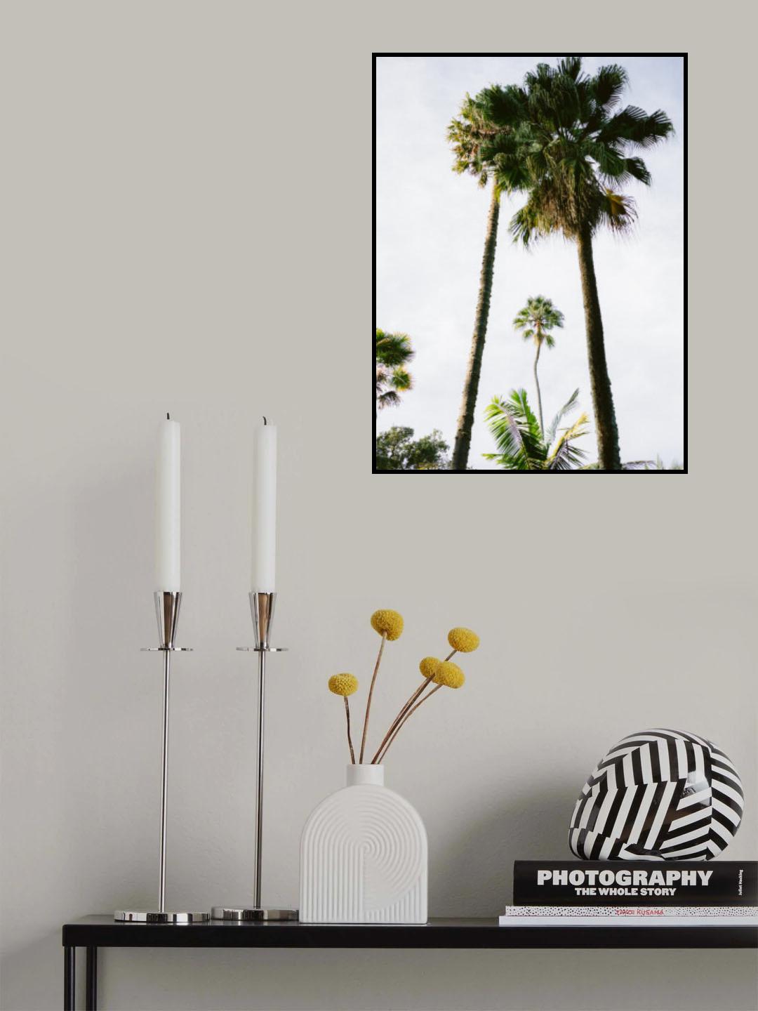 Find me under the Palm Tree Poster och Canvastavla