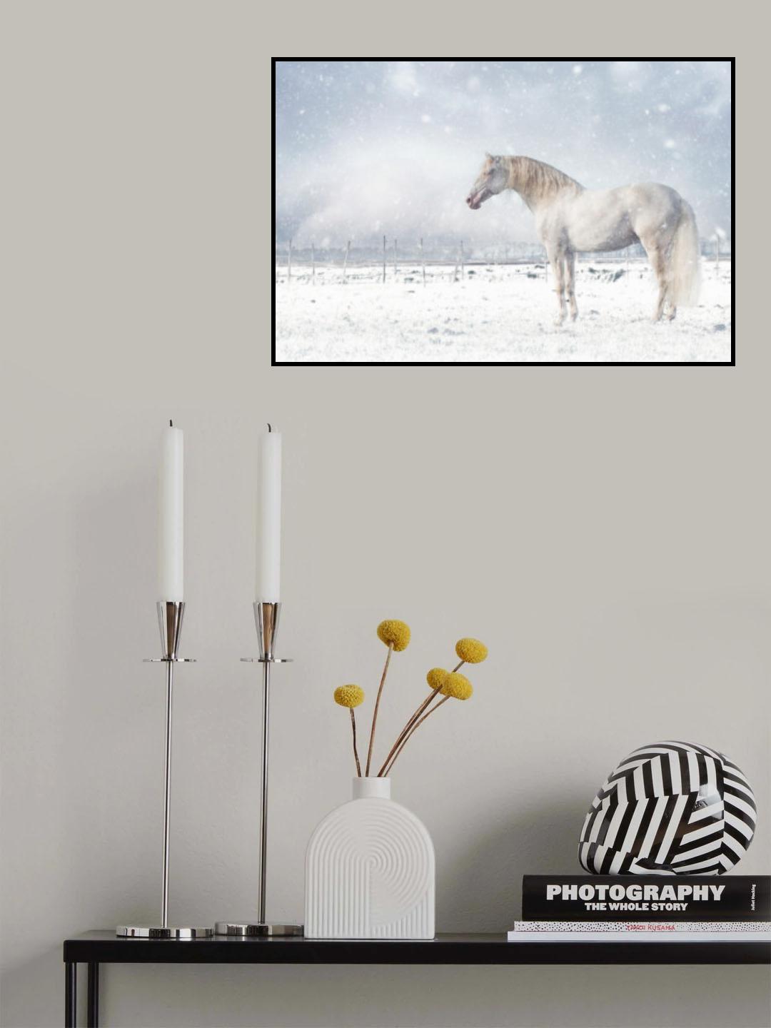 Let it snow... Poster och Canvastavla