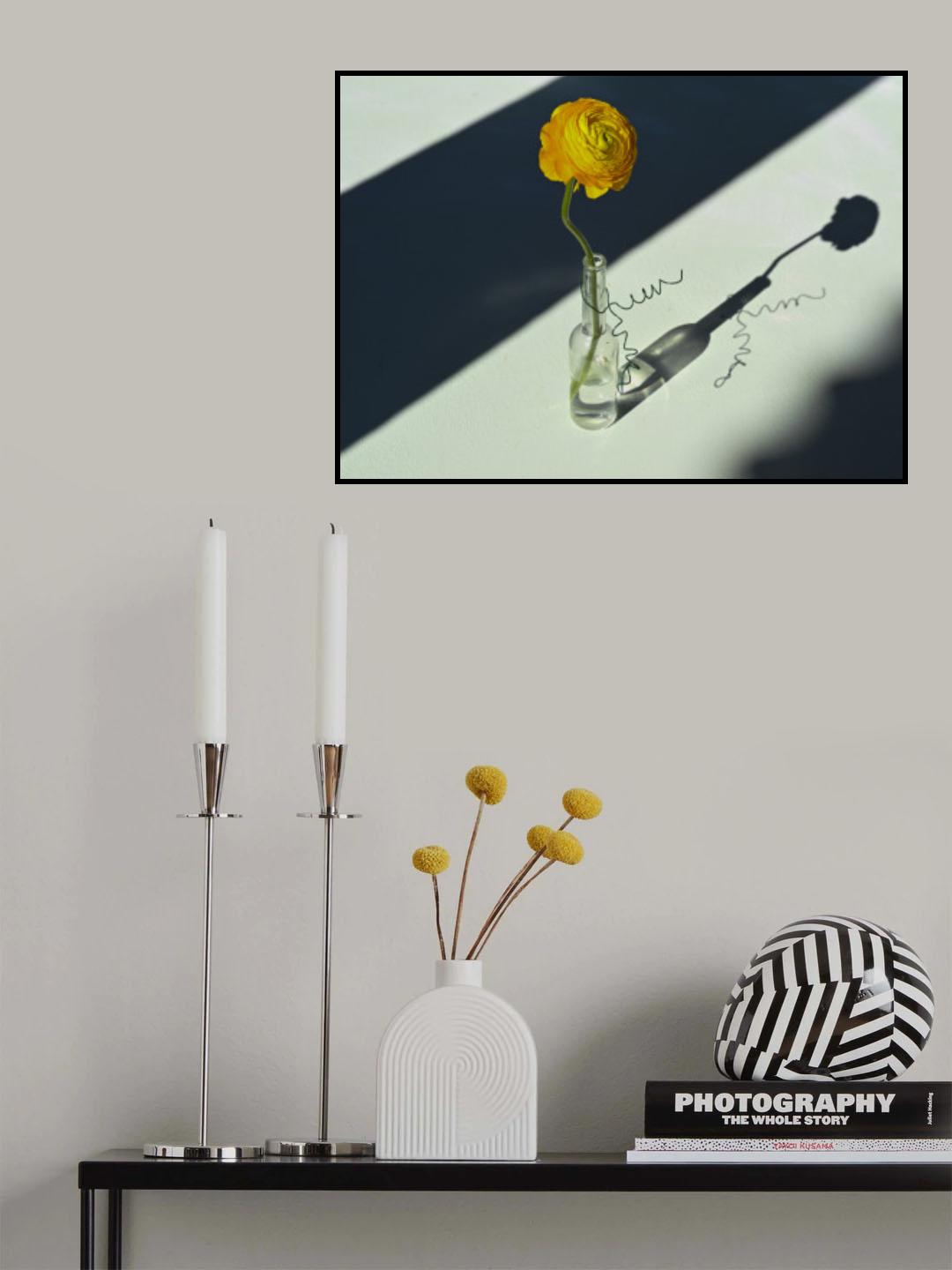 Light & Shadow Poster och Canvastavla