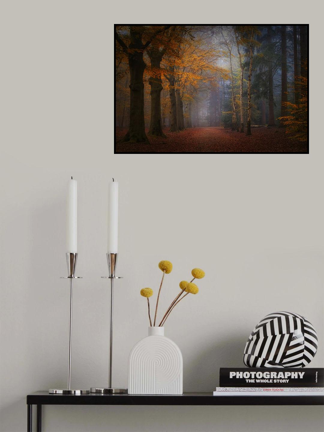 The magic of forest colors Poster och Canvastavla